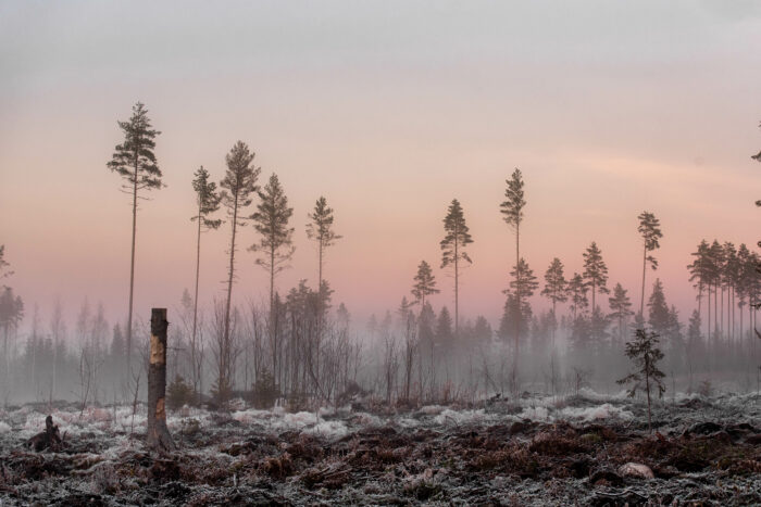 Talvinen maisema suolta.