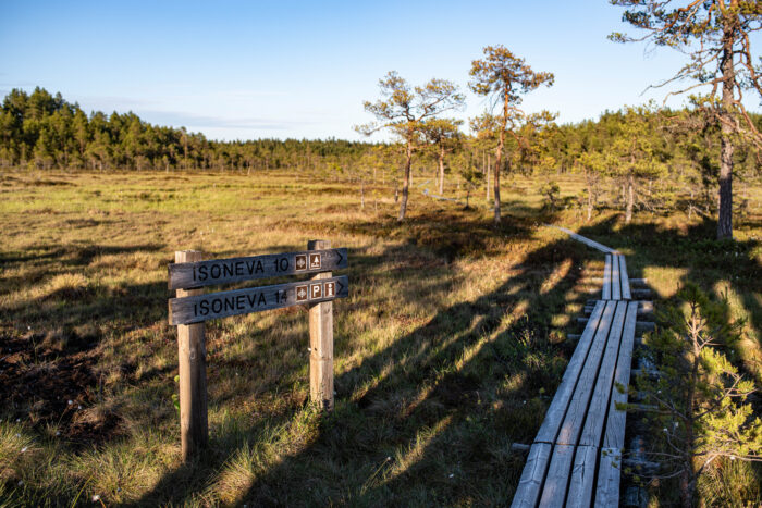Suomaisema pitkospuineen.