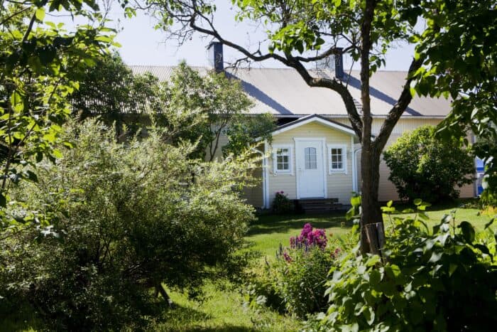 Pihapiiri, viherkasvillisuutta ja talo.