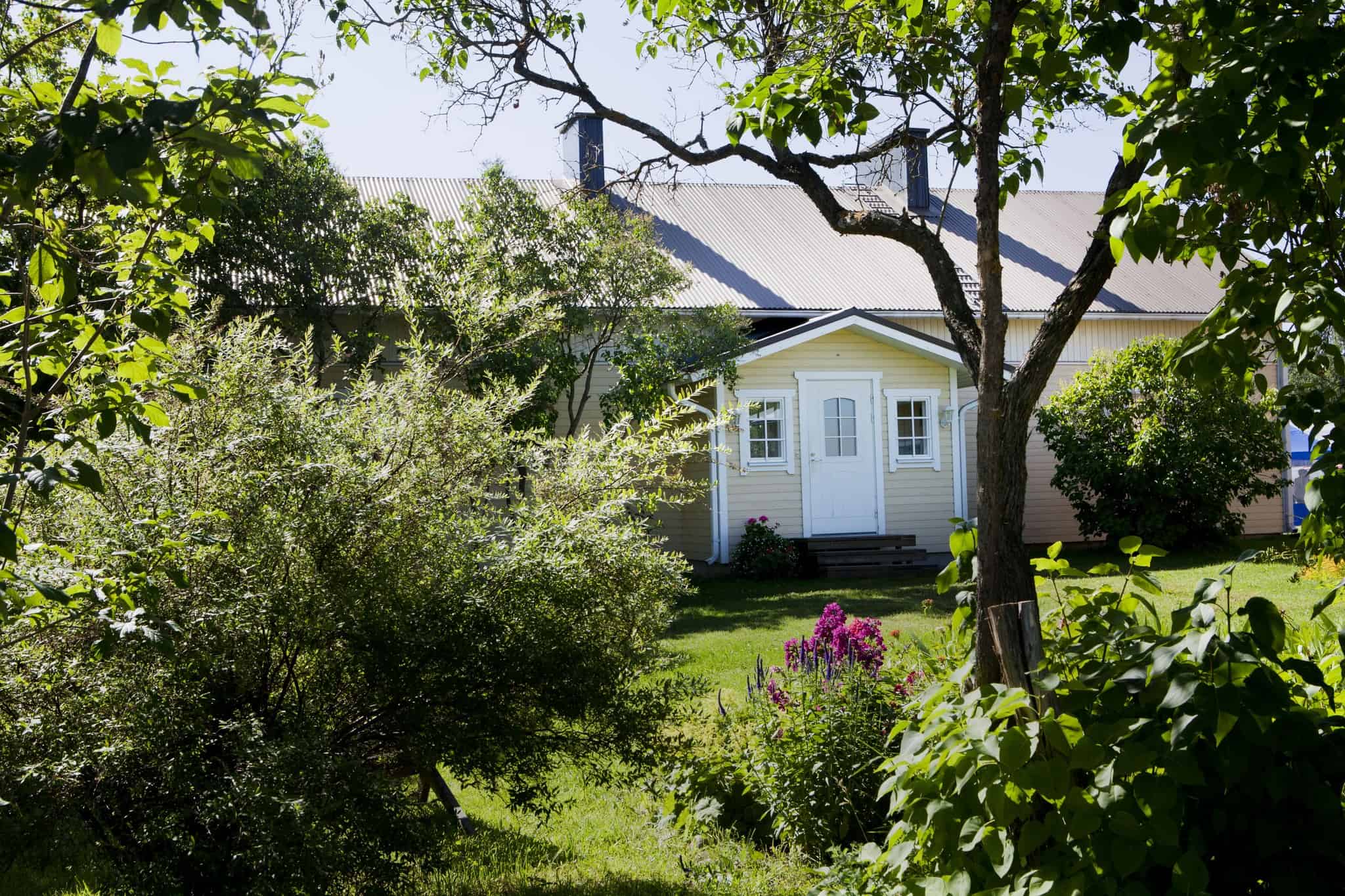 Pihapiiri, viherkasvillisuutta ja talo.