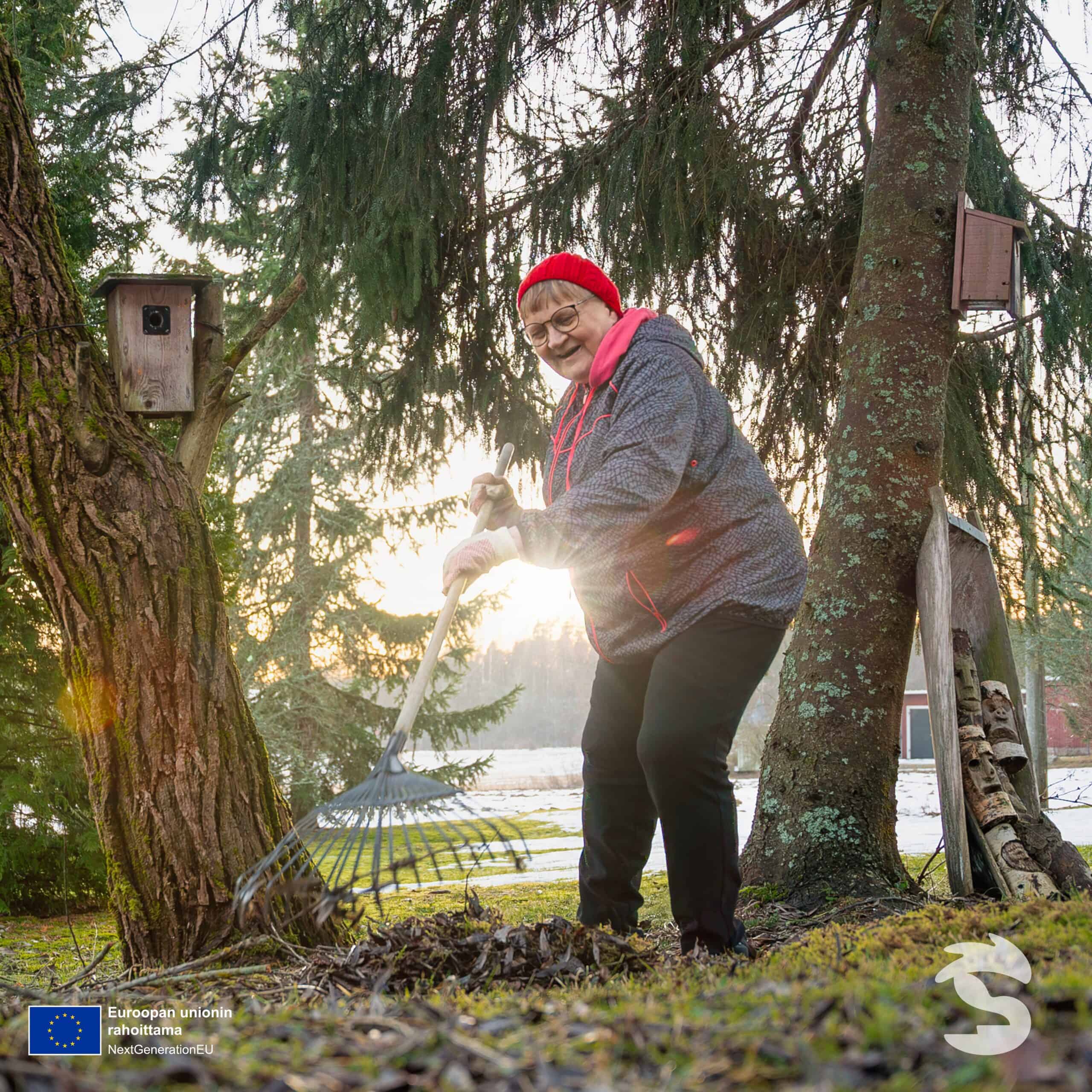 kuva hyte ryhmat scaled - Etusivu - Pomarkun kunta Metsä, henkilö.