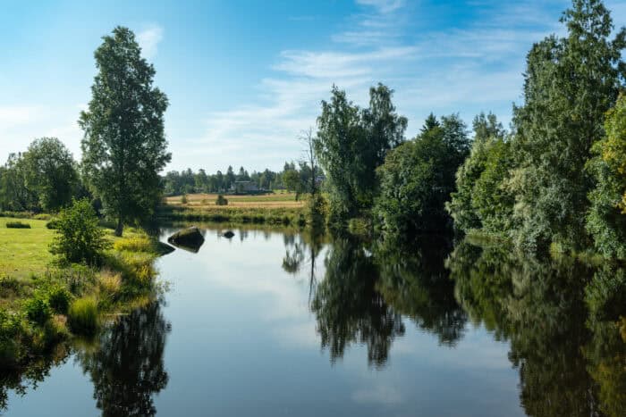 "Vettä, puita, taivas."